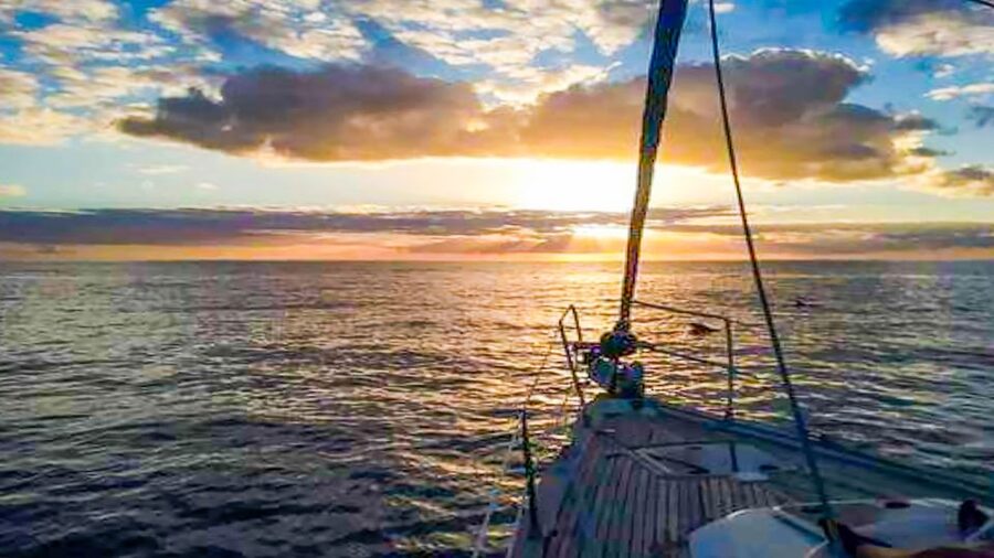 Whale and Dolphin Watching Sailing Tour – Los Gigantes (3H) - Swimming and snorkeling in a clear coastal cove