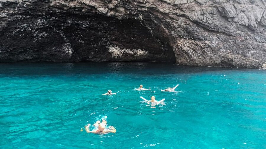 Whale and Dolphin Watching Sailing Tour – Los Gigantes (3H) - Cold tapas, fruit, and drinks on the way back