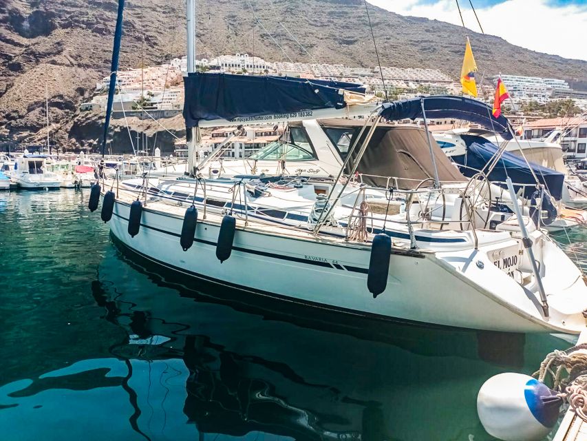 Whale and Dolphin Watching Sailing Tour – Los Gigantes (3H) - What the $76 price delivers