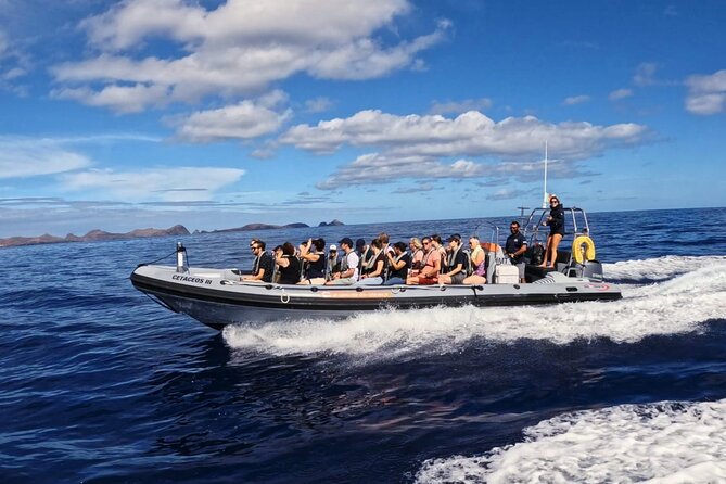 Whale and Dolphin Watching Tour from Funchal - Who will enjoy this boat trip most?