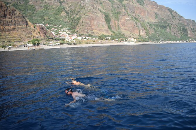Whale and Dolphin Watching Tour in Madeira - The crew makes a real difference