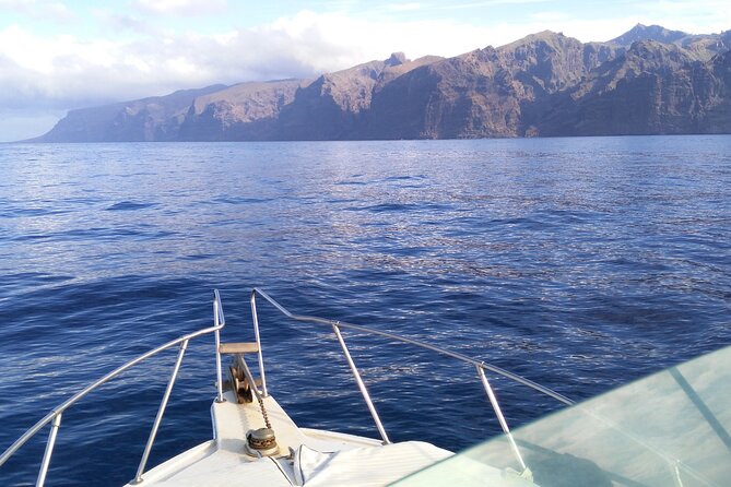Whale and dolphin watching tour Los Gigantes and Masca in small groups - Learning about Tenerife while you cruise