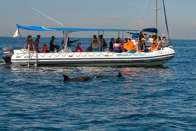 Whale and Dolphin Watching with a Biologist in Puerto Vallarta - Starting at Opequimar Centro Marino