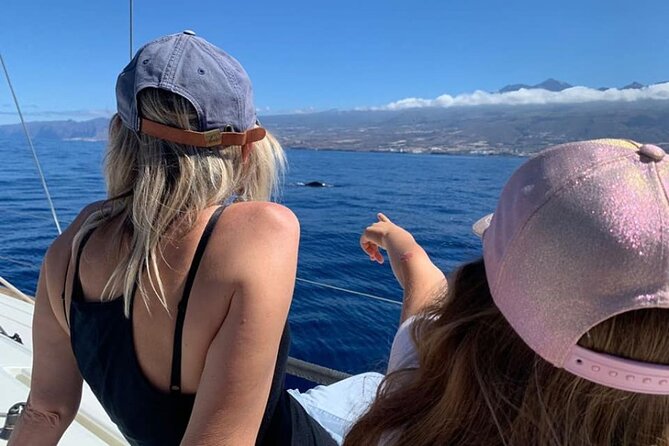 Whale and Dolphin Watching Yacht Trip in Puerto Colon - Drinks, baguettes and the practical comfort level