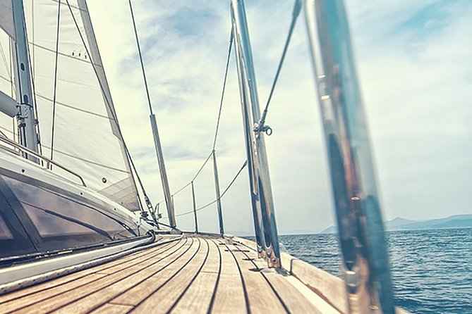 Whale and Dolphin Watching Yacht Trip in Puerto Colon - The swim and snorkeling stop