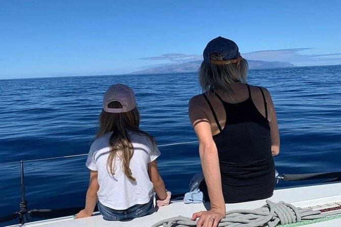 Whale and Dolphin Watching Yacht Trip in Puerto Colon - How much value do you get for $62.56?