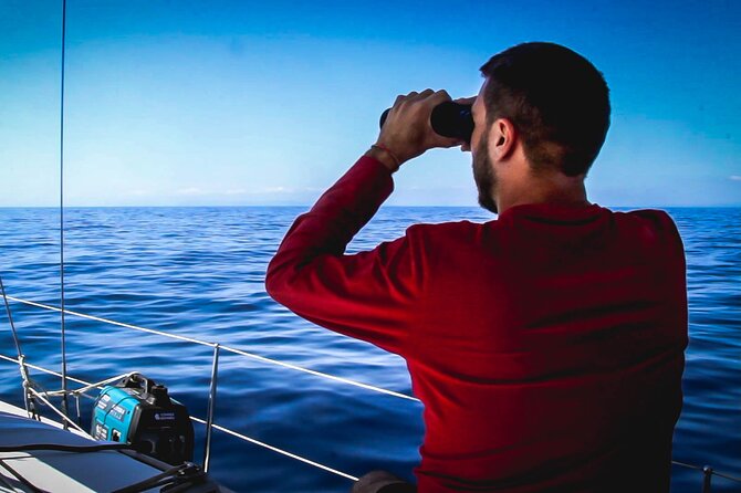 Whale & Dolphin Observation on Electric Sailing Boat in Denia - A quiet start from Dénia at 9:00 am