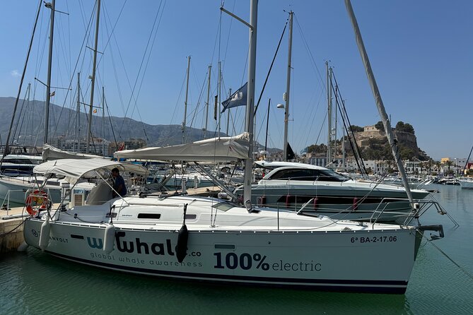 Whale & Dolphin Observation on Electric Sailing Boat in Denia - What a four-hour wildlife search feels like