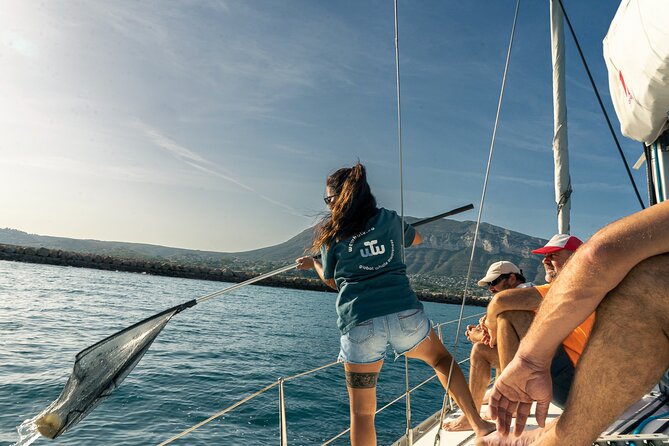 Whale & Dolphin Observation on Electric Sailing Boat in Denia - The boat is intimate, not luxurious