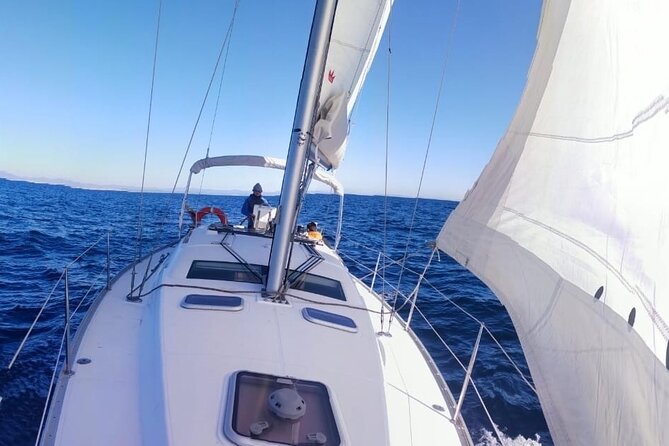 Whale & Dolphin Observation on Electric Sailing Boat in Denia - Prepare for sun, wind, and a moving sea