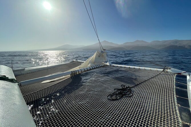Whale & Dolphin Observation on Silent Catamaran with Hydrophone - A Quiet Start from Puerto Calero