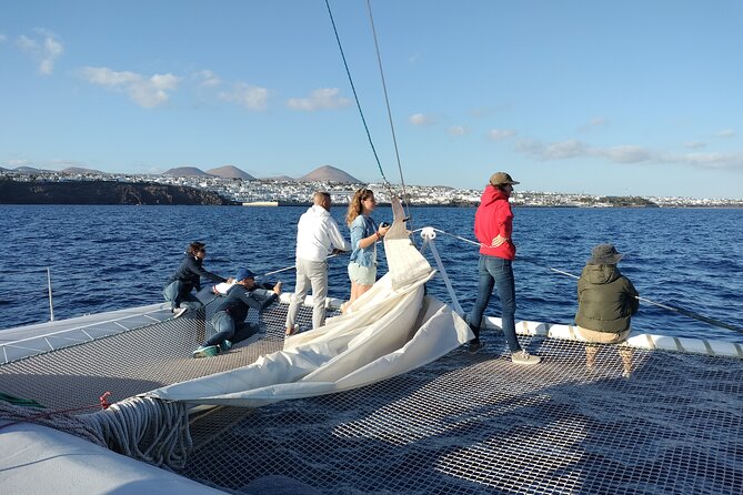 Whale & Dolphin Observation on Silent Catamaran with Hydrophone - Should You Book the Silent Catamaran?
