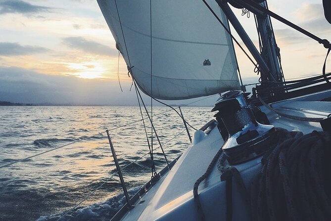 Whale & Dolphin Watching Boat Trip in Tenerife On a Sailing Boat (3 Hr) - Searching for Tenerife’s whales and dolphins