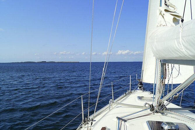 Whale & Dolphin Watching Boat Trip in Tenerife On a Sailing Boat (3 Hr) - Food, snacks, and the open bar