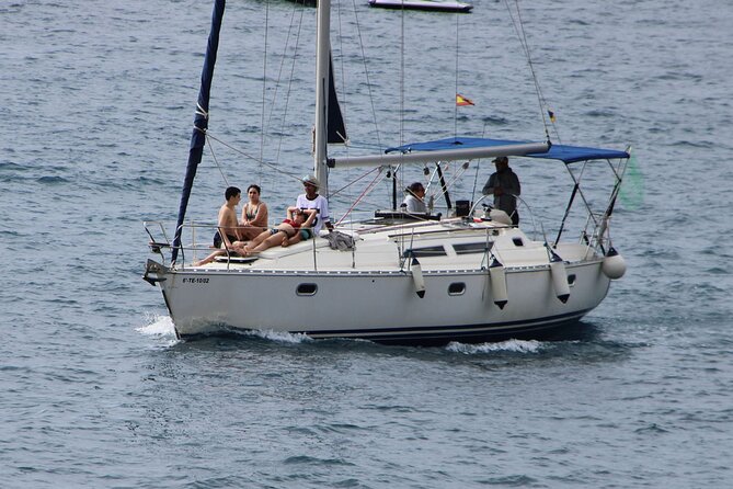Whale & Dolphin Watching Boat Trip in Tenerife On a Sailing Boat (3 Hr) - Is $52.35 good value?