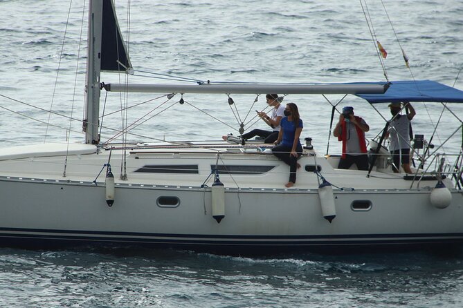Whale & Dolphin Watching Boat Trip in Tenerife On a Sailing Boat (3 Hr) - A small boat with a calmer feel
