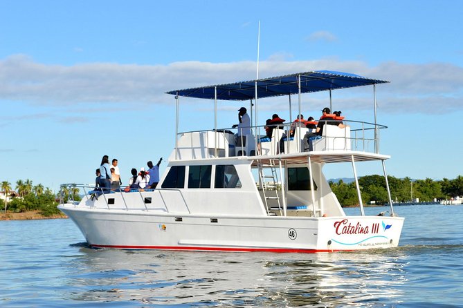 Whale & Dolphin Watching Cruise in Puerto Vallarta All Inclusive - Boat size, seating, and the view