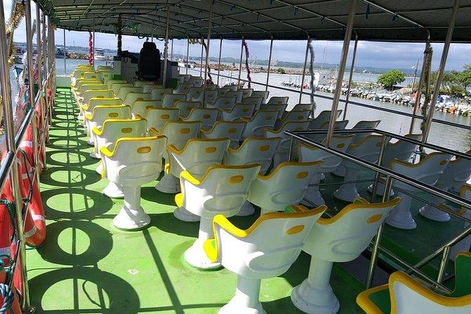Whale & Dolphin Watching Day Tour including Handunugoda Teafactory - Dolphins can save the morning