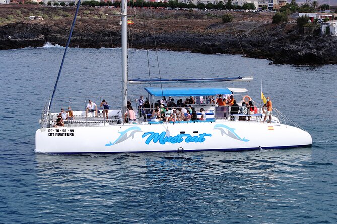 Whale & Dolphin Watching With Mustcat Virgin Coast Trip On a Large Catamaran - Anchoring near Palm Mar cave for a swim