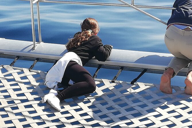 Whale & Dolphin Watching With Mustcat Virgin Coast Trip On a Large Catamaran - Practical details to sort out before booking