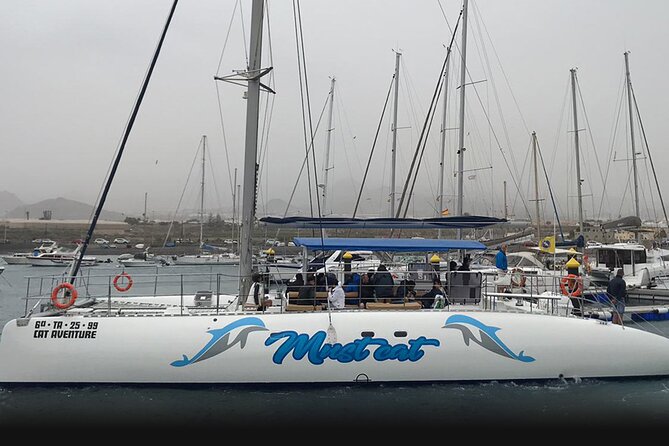 Whale & Dolphin Watching With Mustcat Virgin Coast Trip On a Large Catamaran - Searching for whales and dolphins off Tenerife