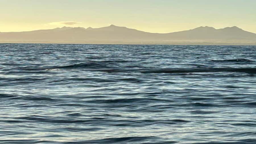 Whale & Dolphins Swimming - Private Speedboat Exclusive Tour - Communication and Safety Need to Be Clear