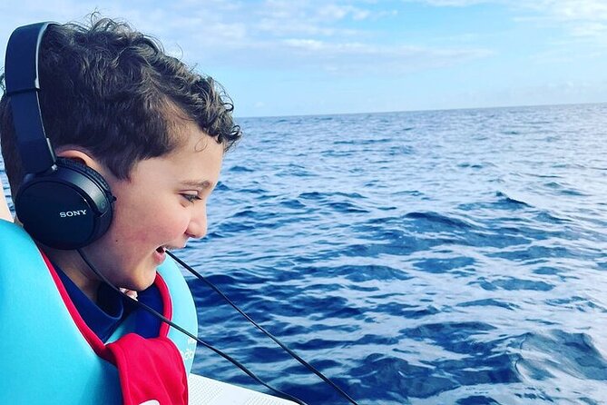 Whale Dream ltd - Whales watching and swim with dolphins - Swimming with spinner and bottlenose dolphins