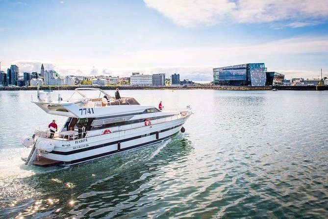 Whale Watching & Dolphin Yacht Cruise - Sailing out from Reykjavik’s Old Harbor