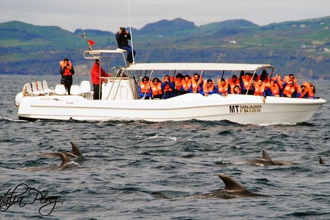 Whale Watching Tour + Vila Franca Islet: Full-day with lunch - Swimming inside Vila Franca Islet