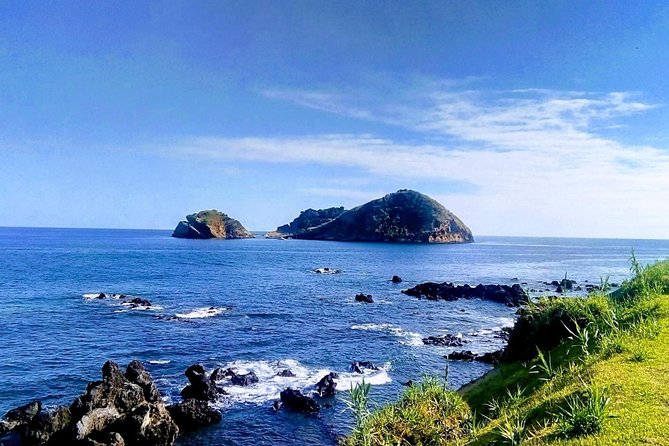 Whale Watching Tour + Vila Franca Islet: Full-day with lunch - Choosing between a rigid inflatable and fiberglass boat