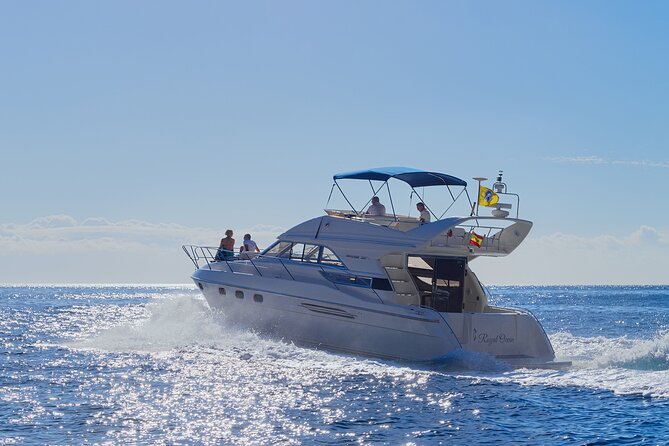 Whales and Dolphins excursion on a Luxury Yacht in Canary Islands - Why this small yacht trip is worth considering