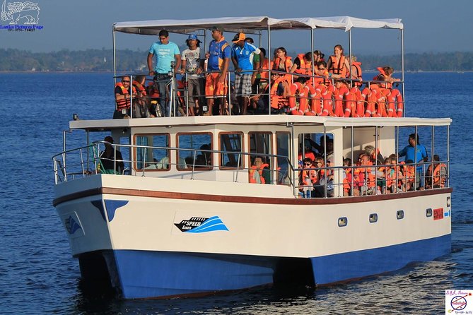 Whales and Dolphins Watching Mirissa - Price, extra charges, and actual value