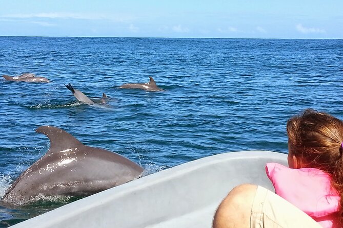 Whales and Dolphins watching Tour From Uvita - Group size, timing, and comfort