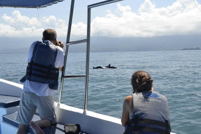 Whales and Dolphins watching Tour From Uvita - The three-hour search for whales and dolphins