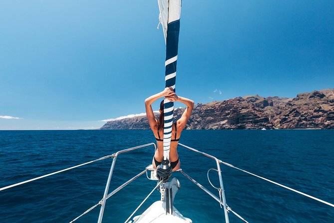 Whales & Dolphins watching in exclusive sailboat - From Pantalán 8 to the open water