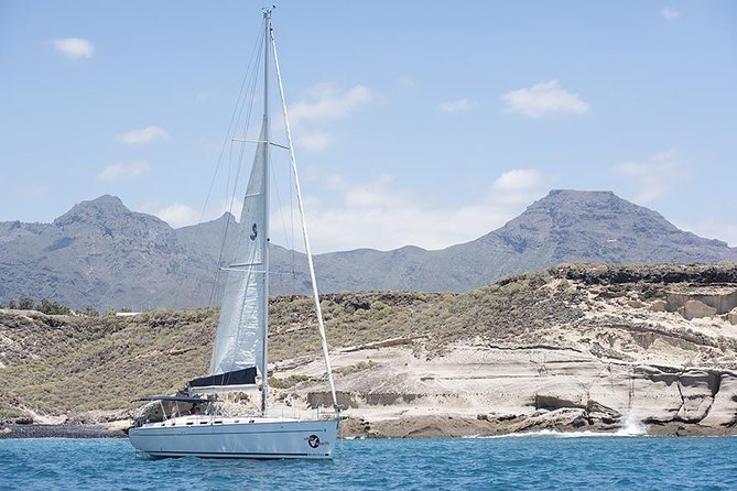 Whales & Dolphins watching in exclusive sailboat - Sandwiches, drinks, and an easygoing lunch break