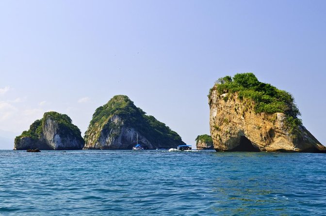Wild Dolphin Encounter & Snorkeling Adventure - Key points at a glance