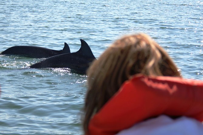 Wild Dolphin Encounter & Snorkeling Adventure - Who will get the most from this tour