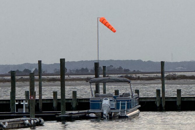 Wildlife Boat Tour with Wild Ponies and Dolphins in Chincoteague - Who will enjoy this tour most