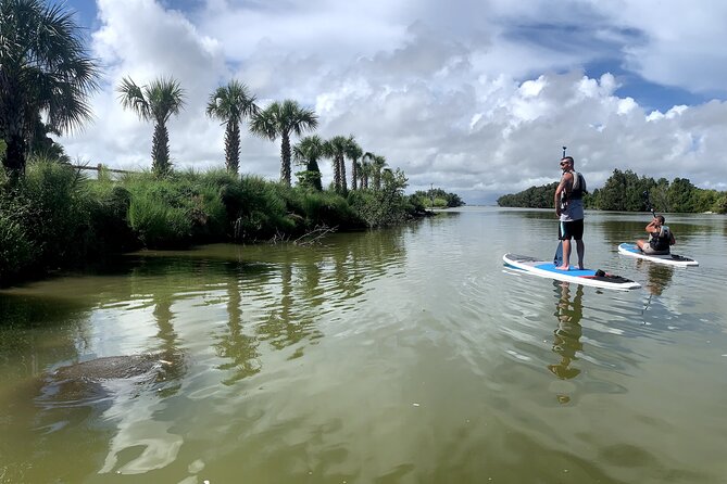 Wildlife Refuge Dolphin, Manatee & Mangrove Kayak or Paddleboarding Tour! - Key points to know before you book