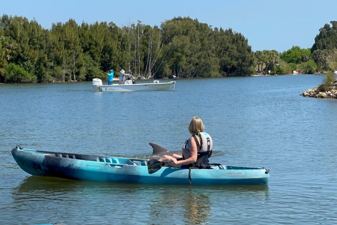 Wildlife Refuge Dolphin, Manatee & Mangrove Kayak or Paddleboarding Tour! - Wildlife watching along the canal