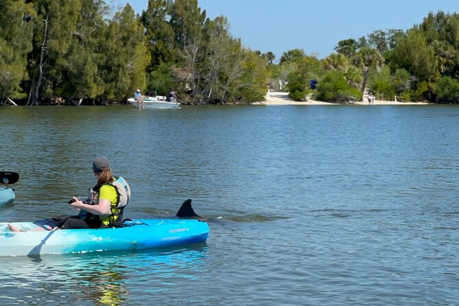 Wildlife Refuge Dolphin, Manatee & Mangrove Kayak or Paddleboarding Tour! - Why a guide adds real value
