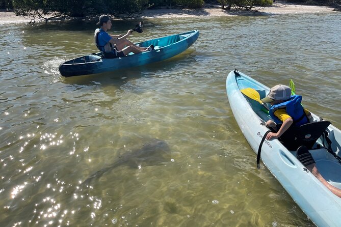 Wildlife Refuge Dolphin, Manatee & Mangrove Kayak or Paddleboarding Tour! - Photos, dry bags, and what you should bring
