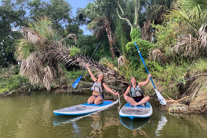Wildlife Refuge Dolphin, Manatee & Mangrove Kayak or Paddleboarding Tour! - Is $50 a fair price for 90 minutes?