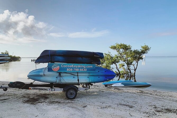 Wildlife Refuge Dolphin, Manatee & Mangrove Kayak or Paddleboarding Tour! - The first stretch through the mangroves
