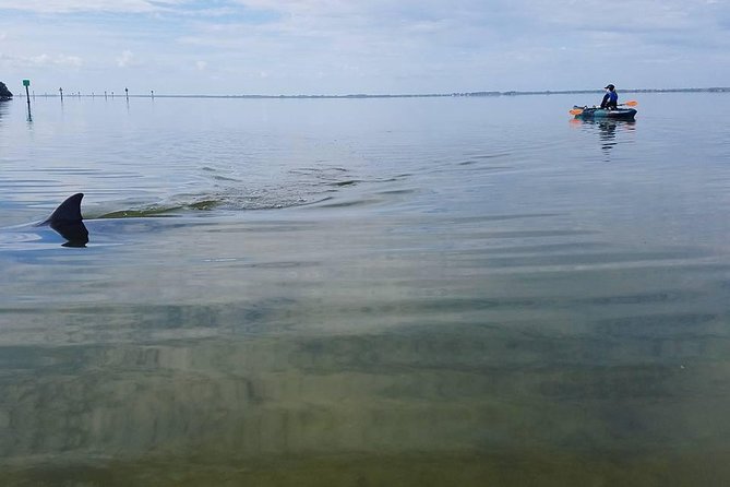 Wildlife Refuge Manatee, Dolphin & Mangrove Kayak or Paddleboarding Tour! - Why this tour is more than a beach break