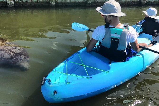 Wildlife Refuge Manatee, Dolphin & Mangrove Kayak or Paddleboarding Tour! - Starting at Haulover Canal near Mims