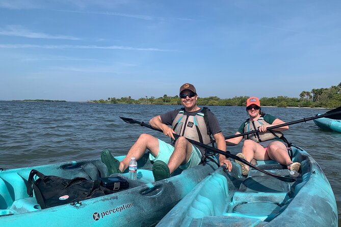 Wildlife Refuge Sunset Dolphin, Manatee & Mangrove Kayak or Paddleboarding Tour! - Price, group size, and practical value