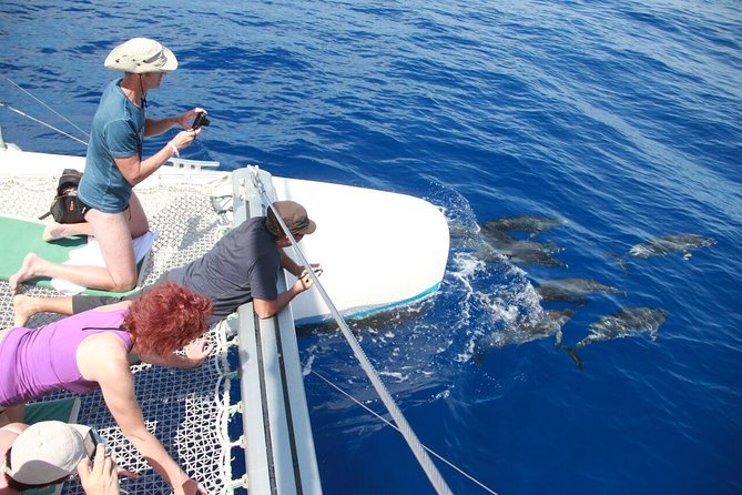 Wines Tasting Experience and Skywalk with Dolphin Watching - A morning of mountains, wine, and open roads