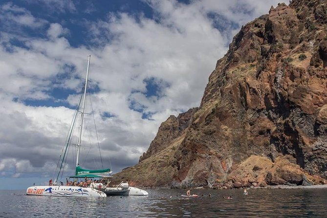 Wines Tasting Experience and Skywalk with Dolphin Watching - What the $130.95 price really buys